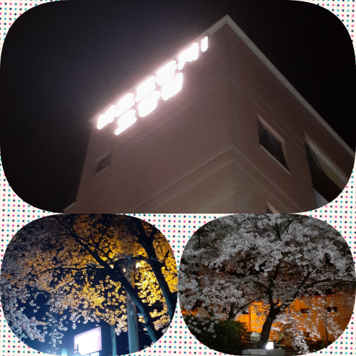 바오로둥지 너싱홈 이미지 18