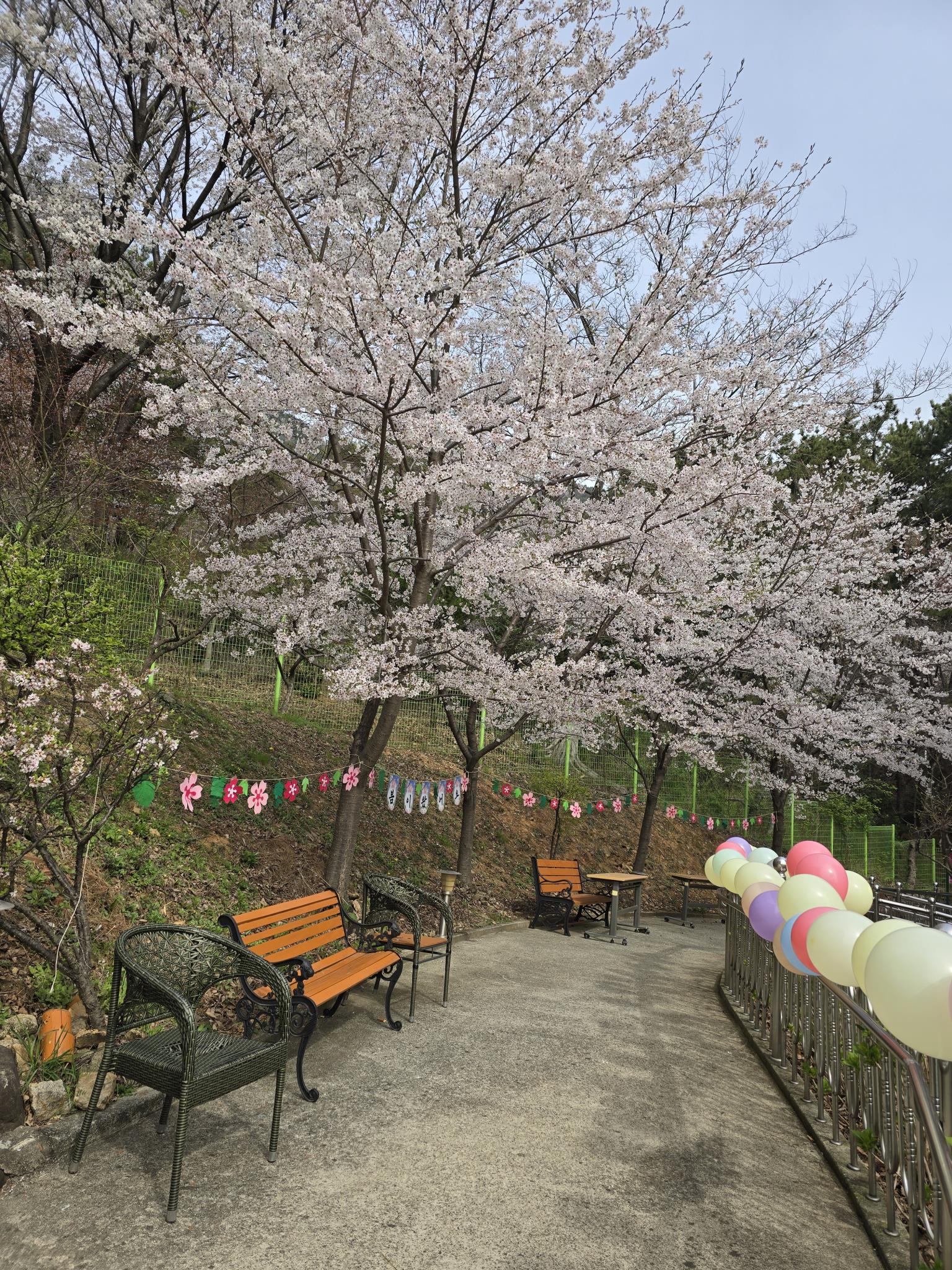 무량수노인요양원 이미지 26