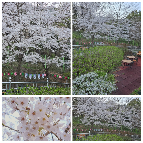 무량수노인요양원 이미지 25