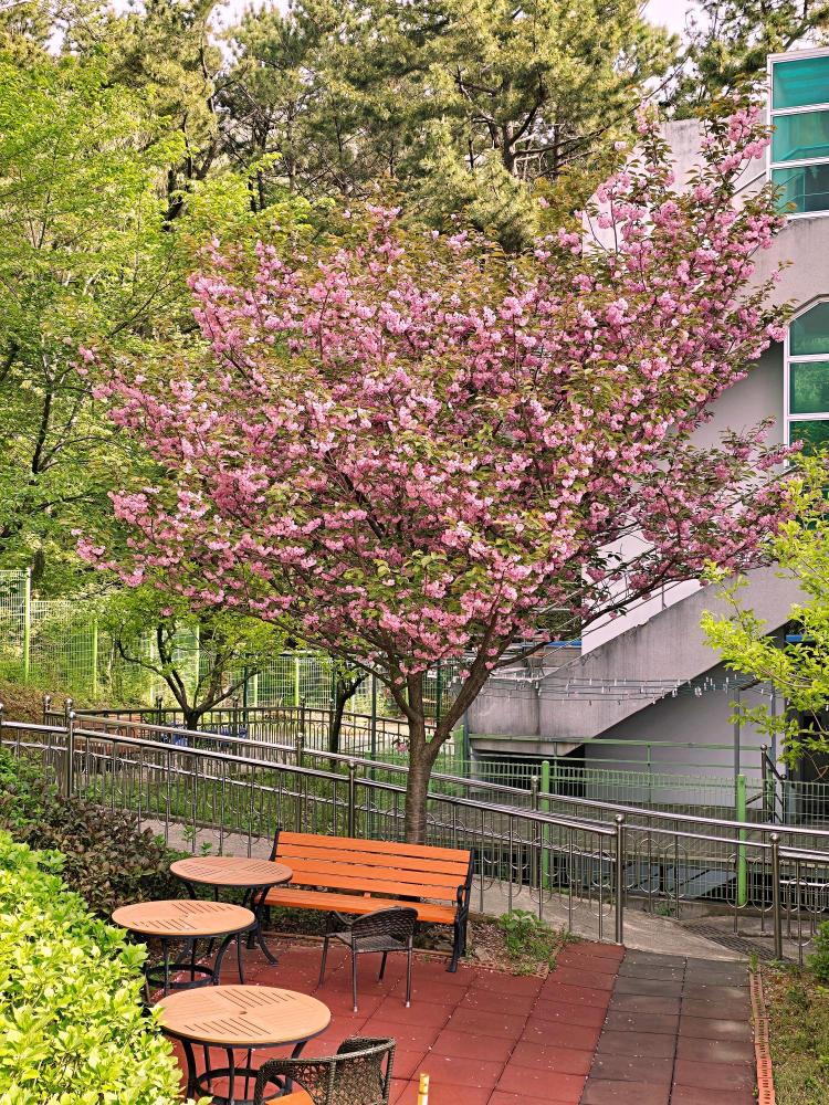 무량수노인요양원 이미지 24