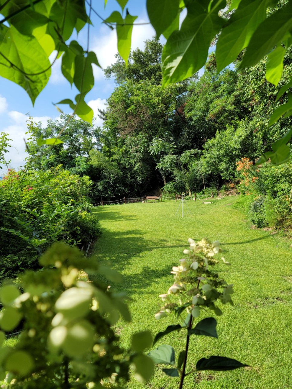 연세숲속요양원 이미지 5