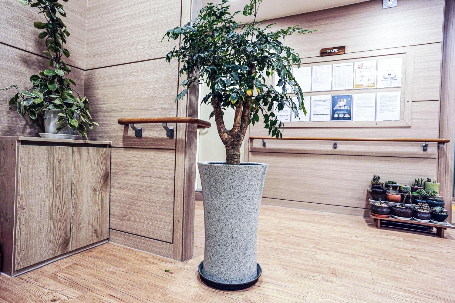 안암고운너싱홈