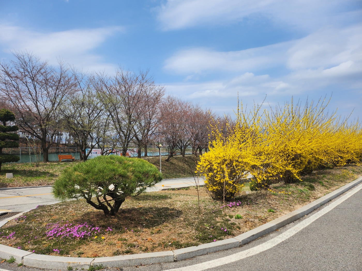 사회복지법인 효담전문요양원 이미지 26