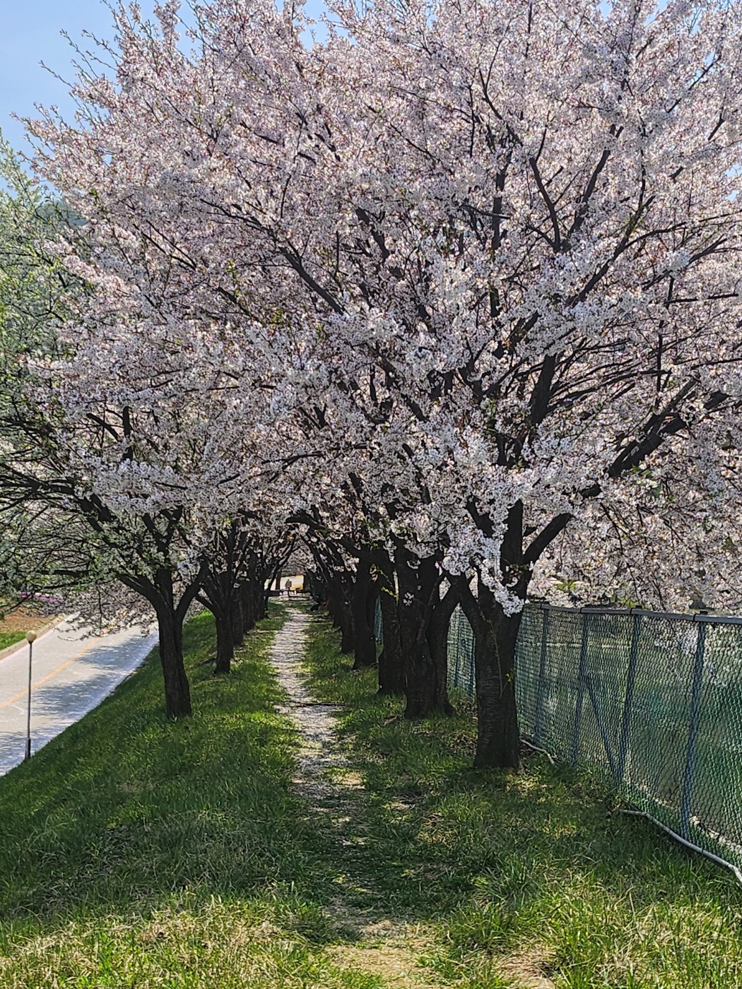 사회복지법인 효담전문요양원 이미지 28