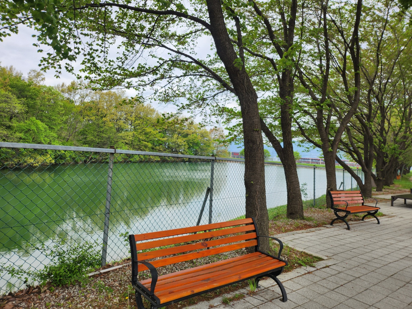 사회복지법인 효담전문요양원 이미지 27