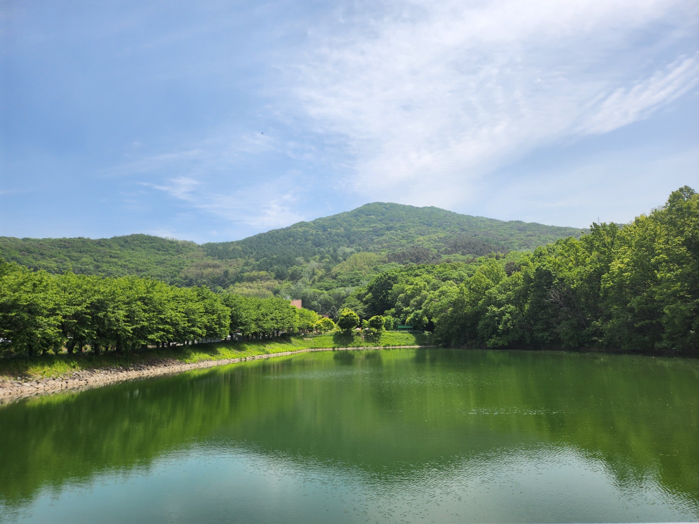사회복지법인 효담전문요양원 이미지 25