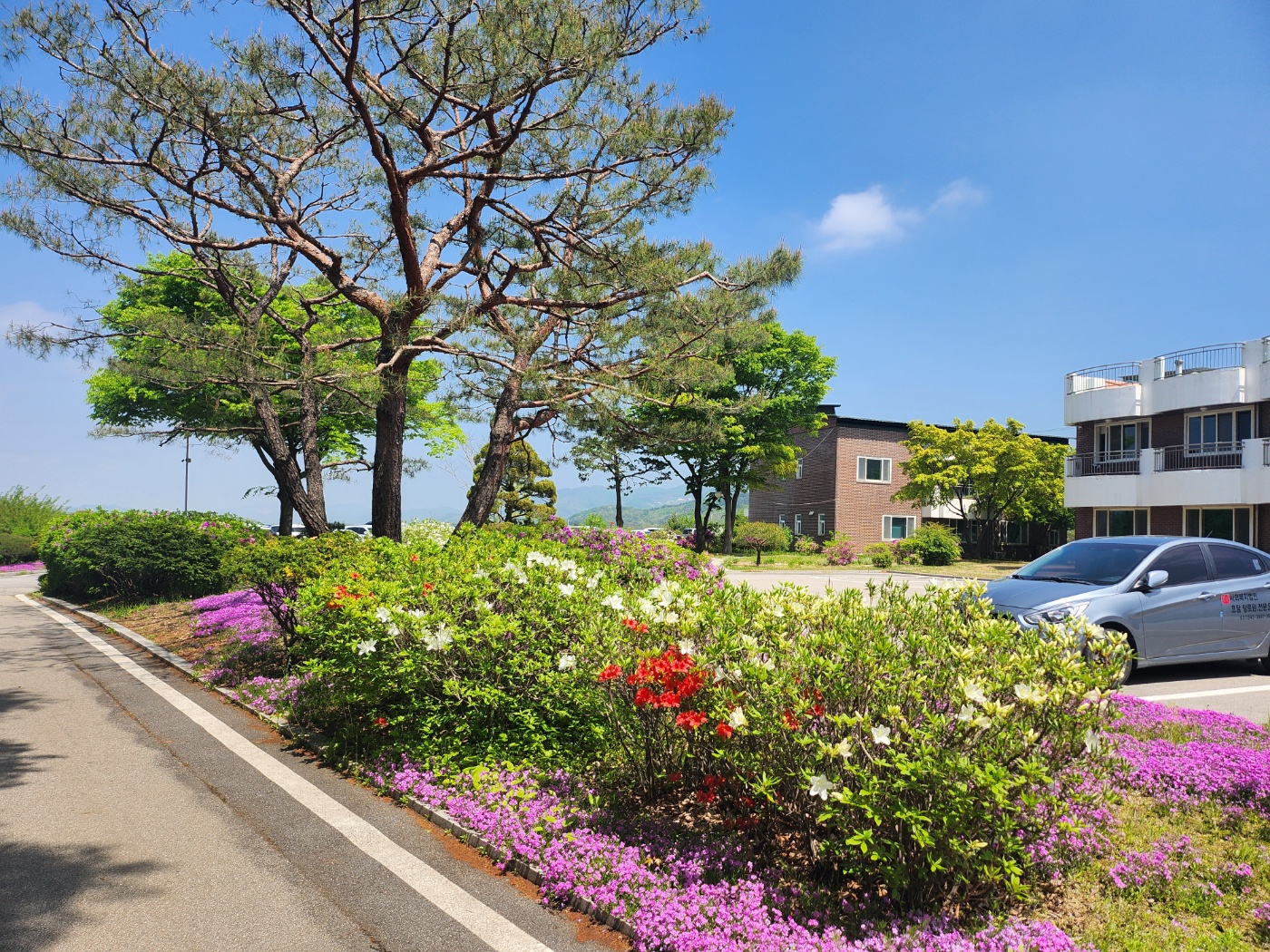 사회복지법인 효담전문요양원 이미지 24