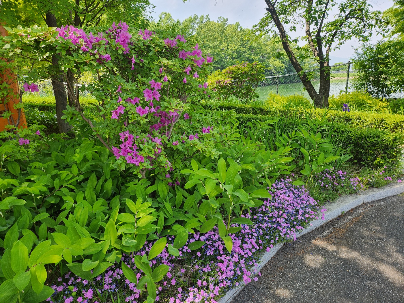 사회복지법인 효담전문요양원 이미지 22