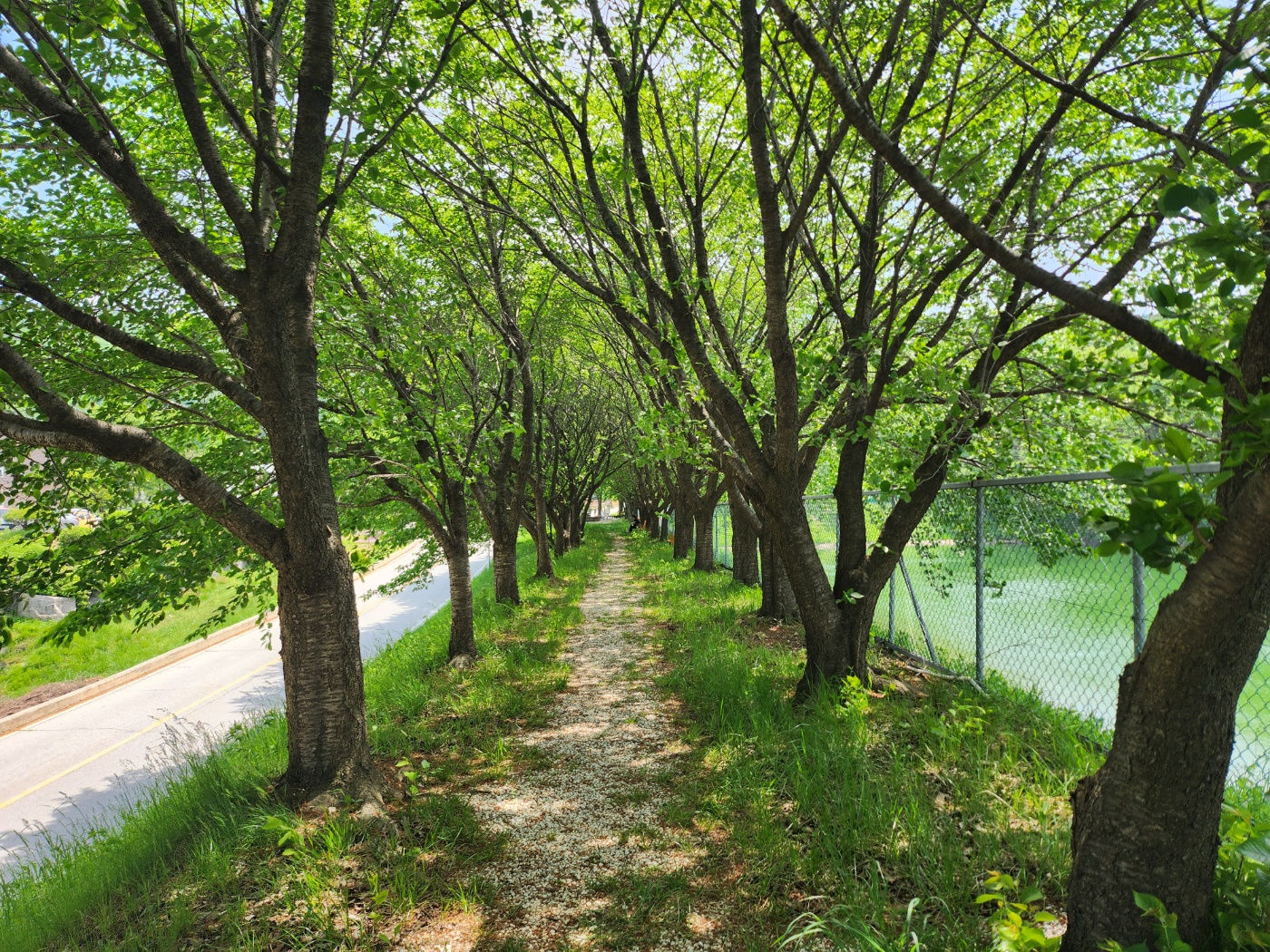 사회복지법인 효담전문요양원 이미지 21