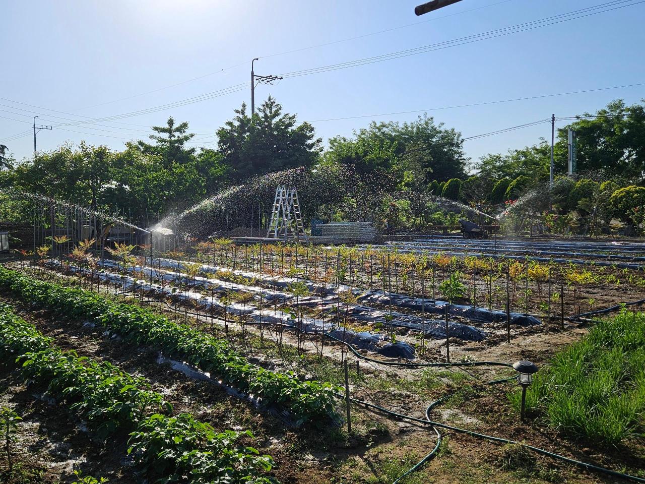 금강전원실버요양원 이미지 5