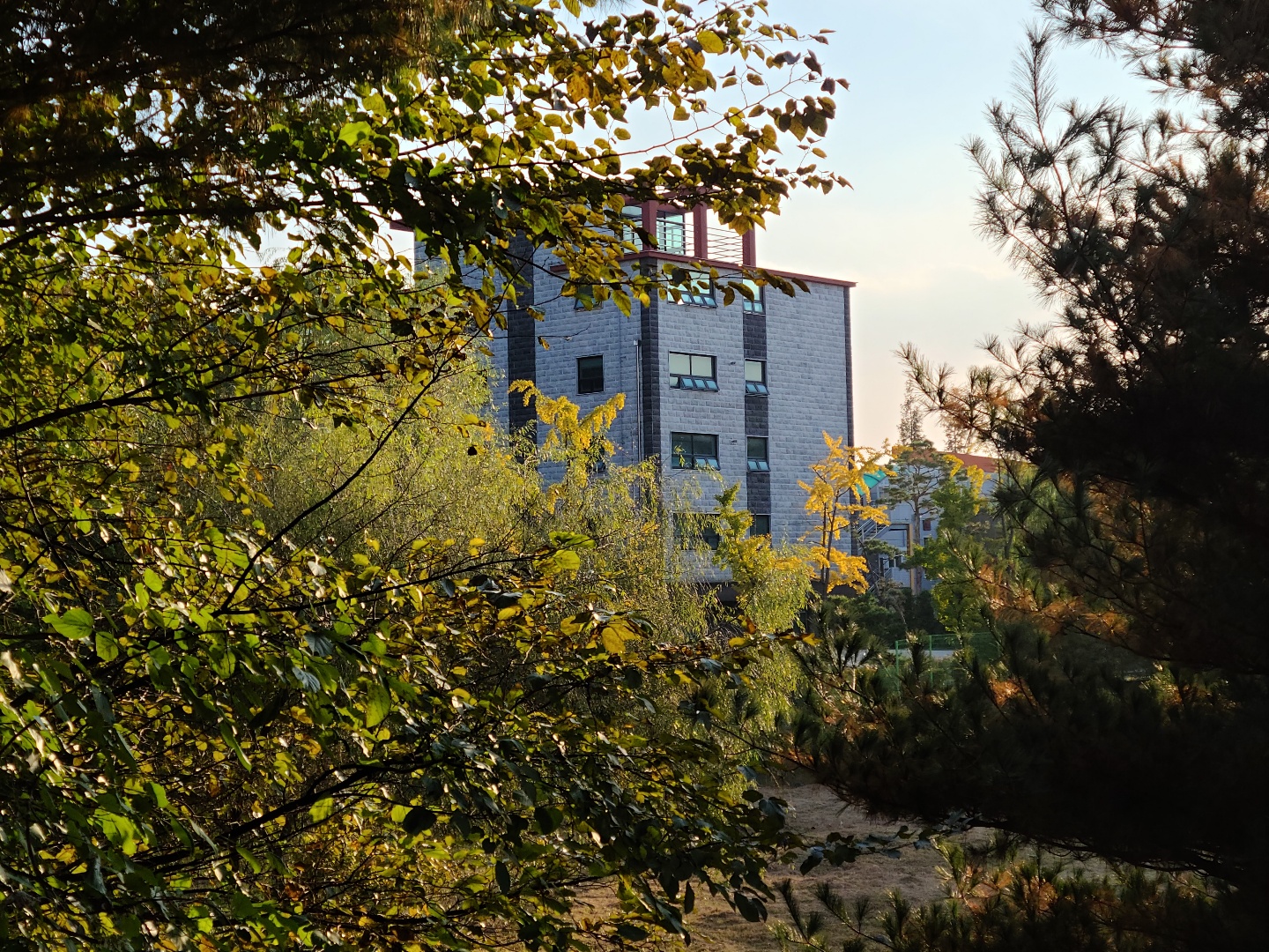 수명산요양원 이미지 2