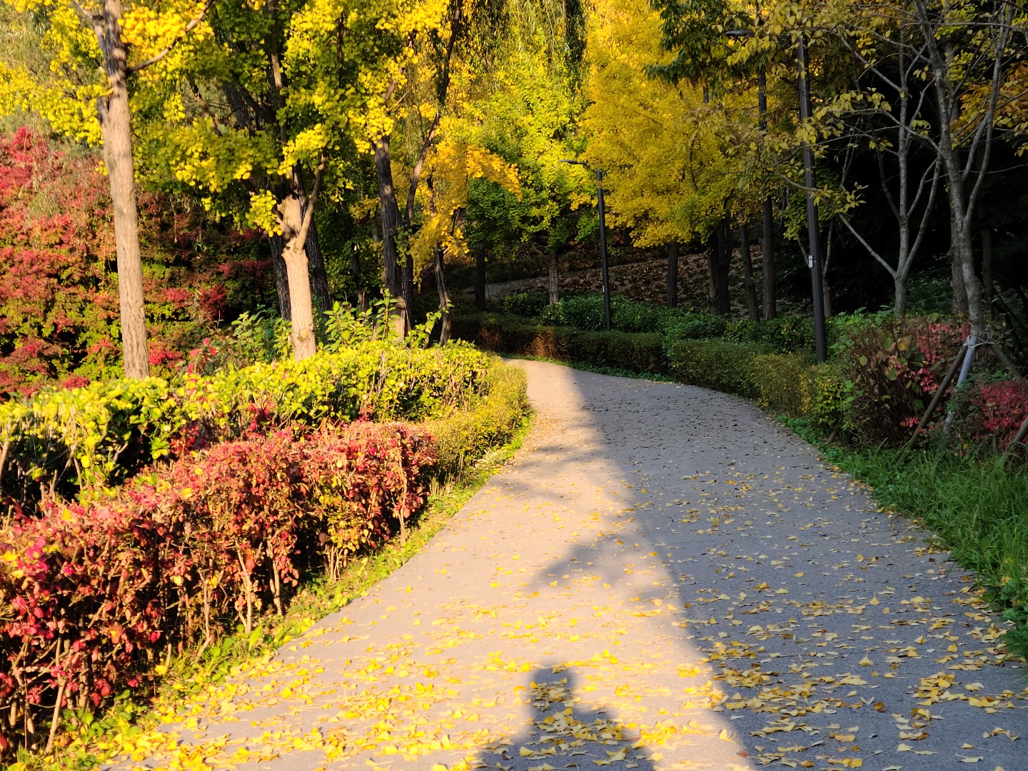 수명산요양원 이미지 4