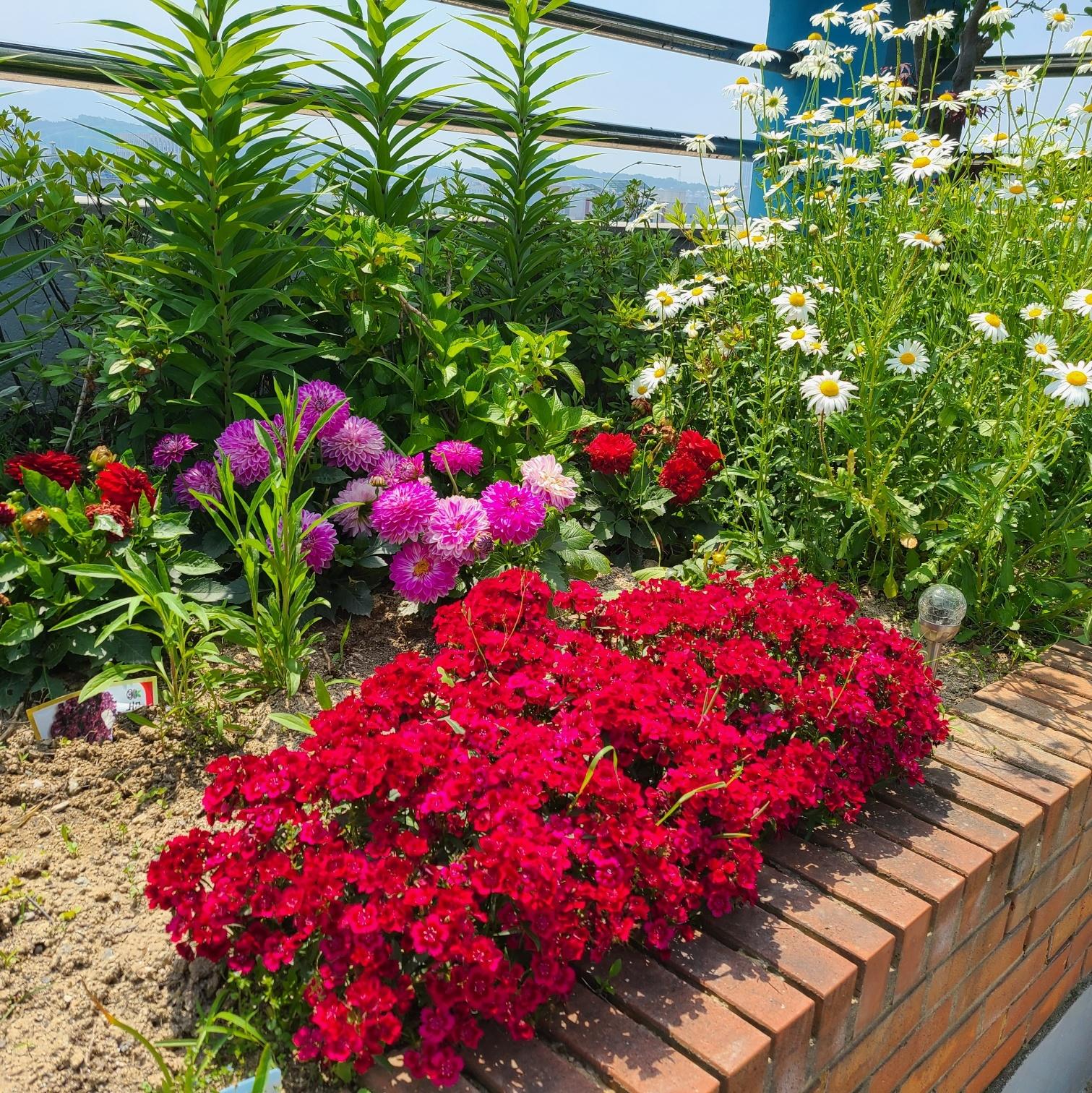 밝은빛요양원 이미지 10