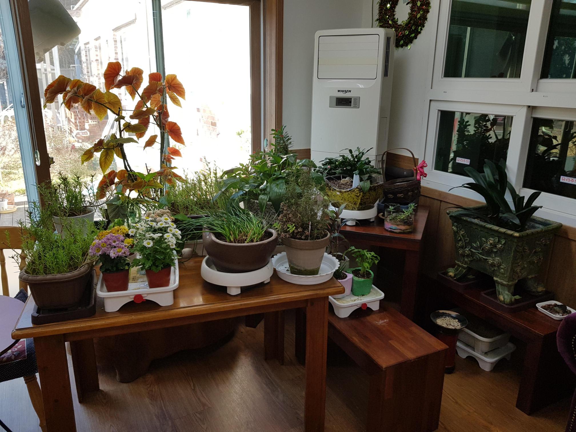 소망요양원 이미지 14