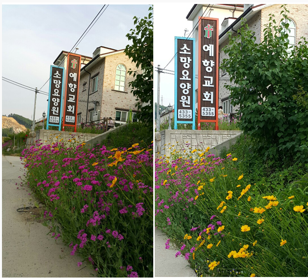 소망요양원 이미지 4