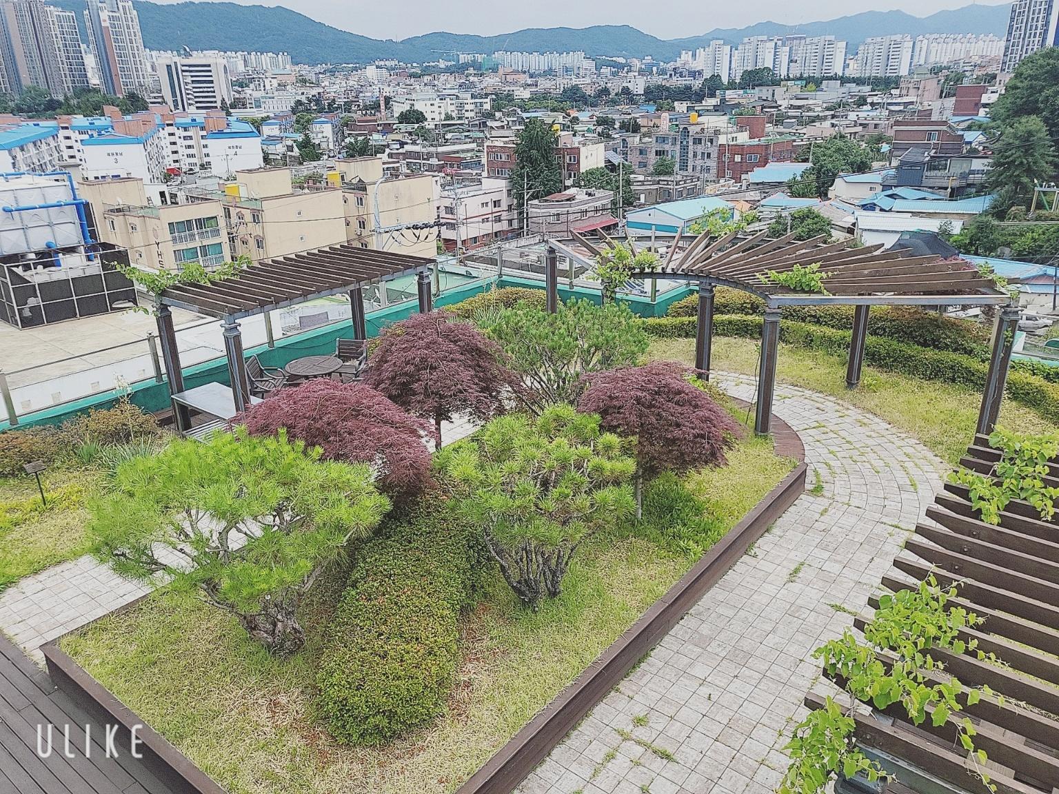 다비다의집 이미지 2