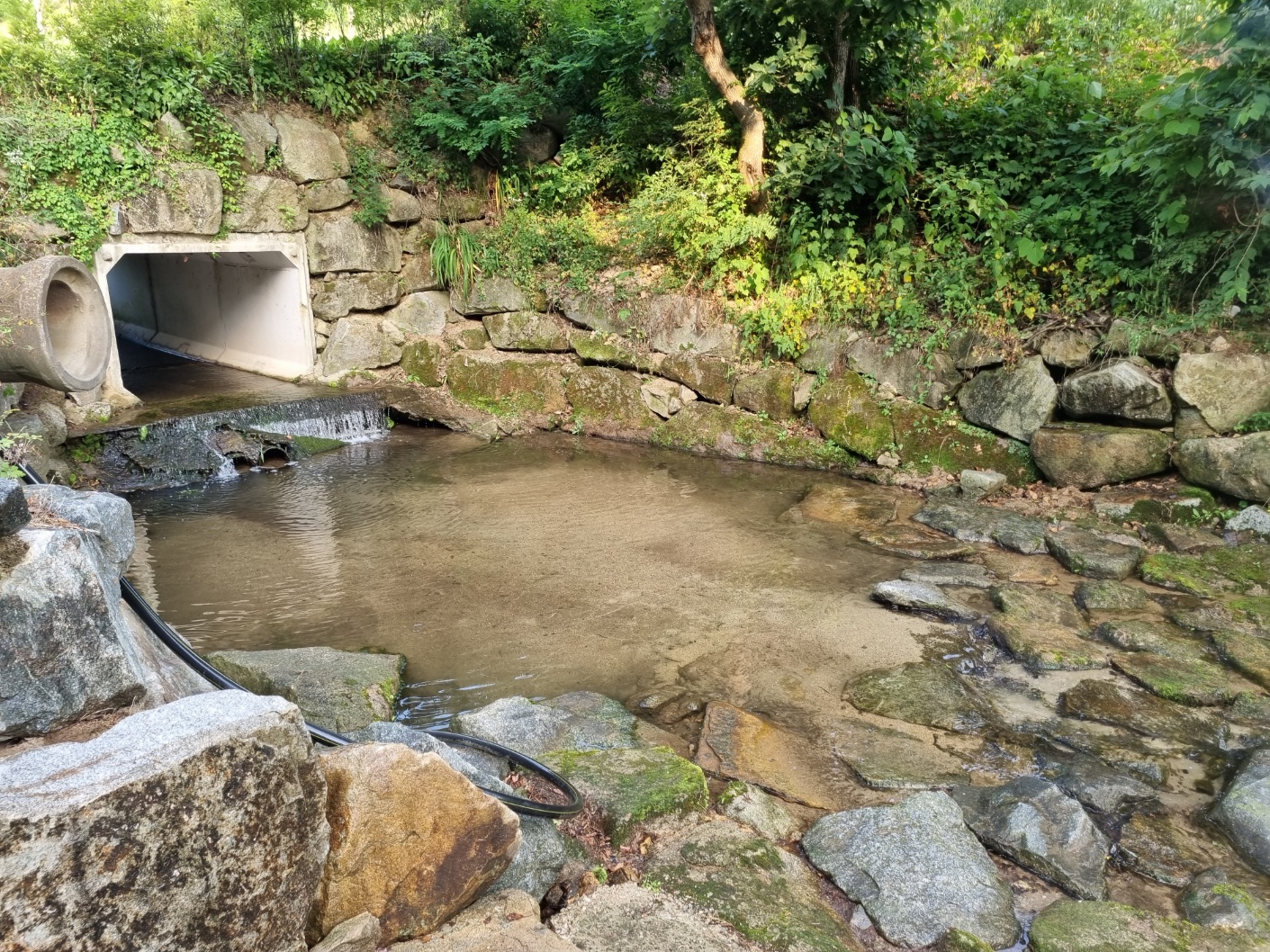 목천요양원 이미지 50