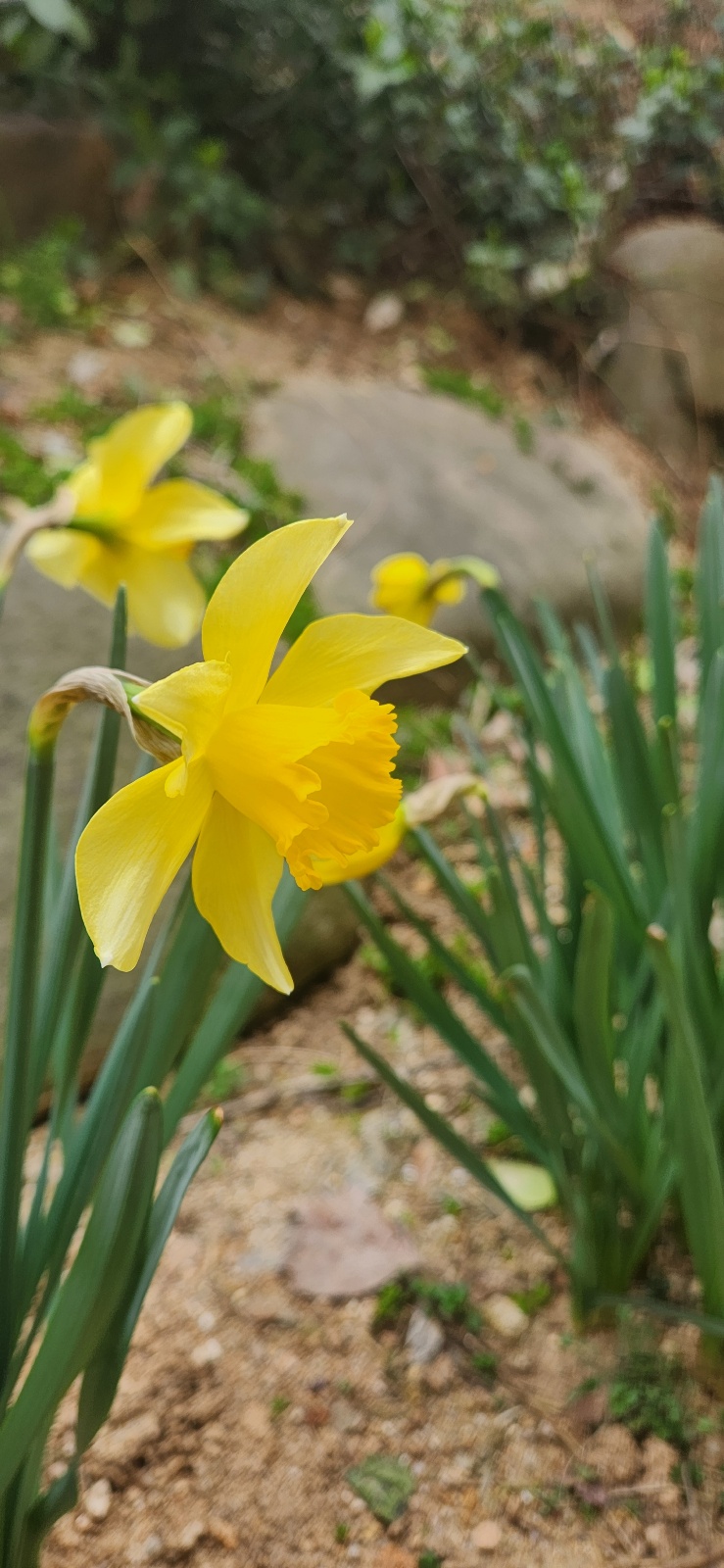 이화엔젤스요양원 이미지 11