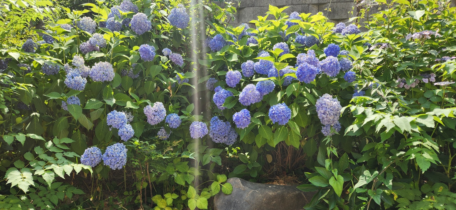 이화엔젤스요양원 이미지 10