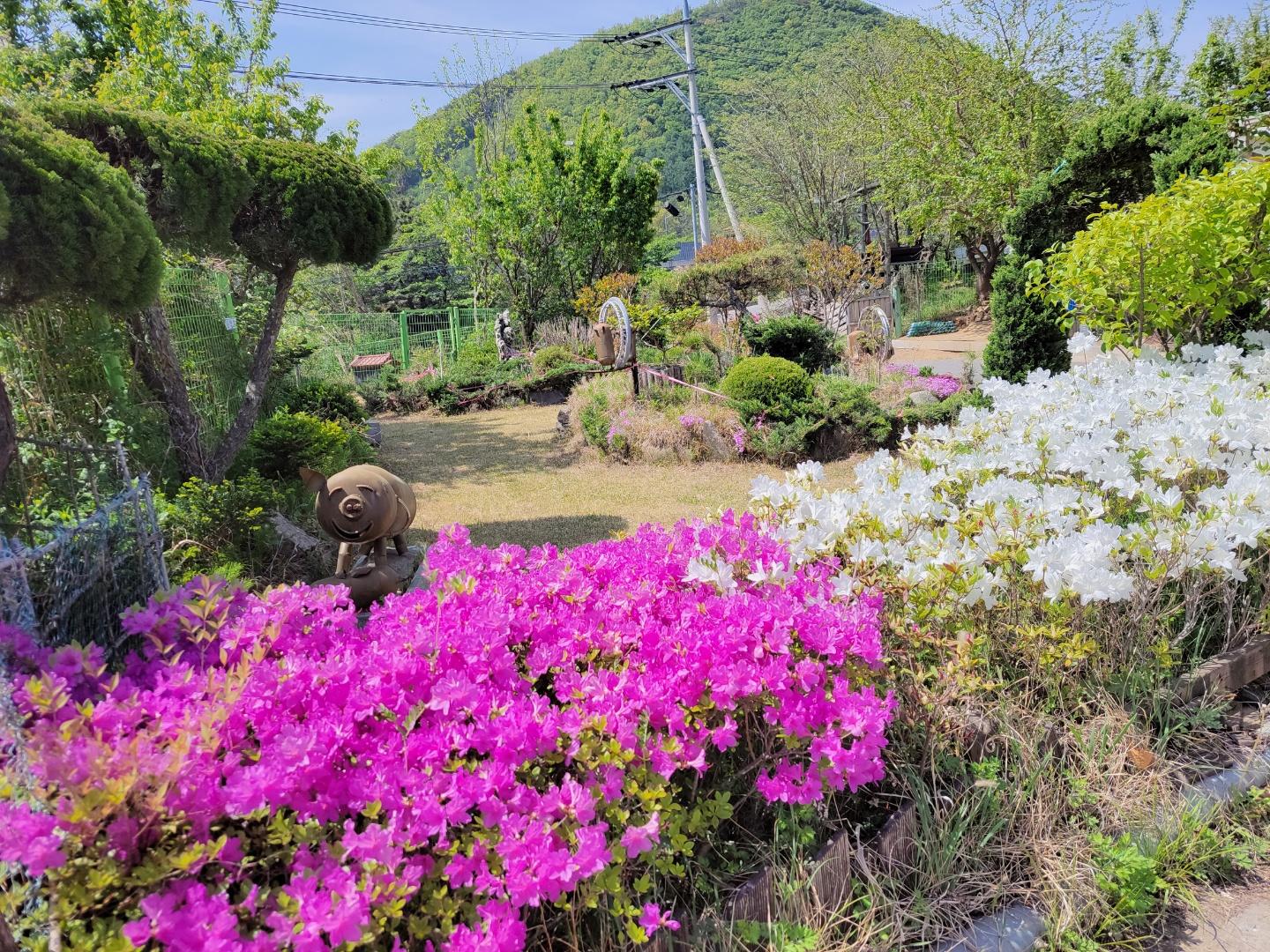 손안애 복 요양원