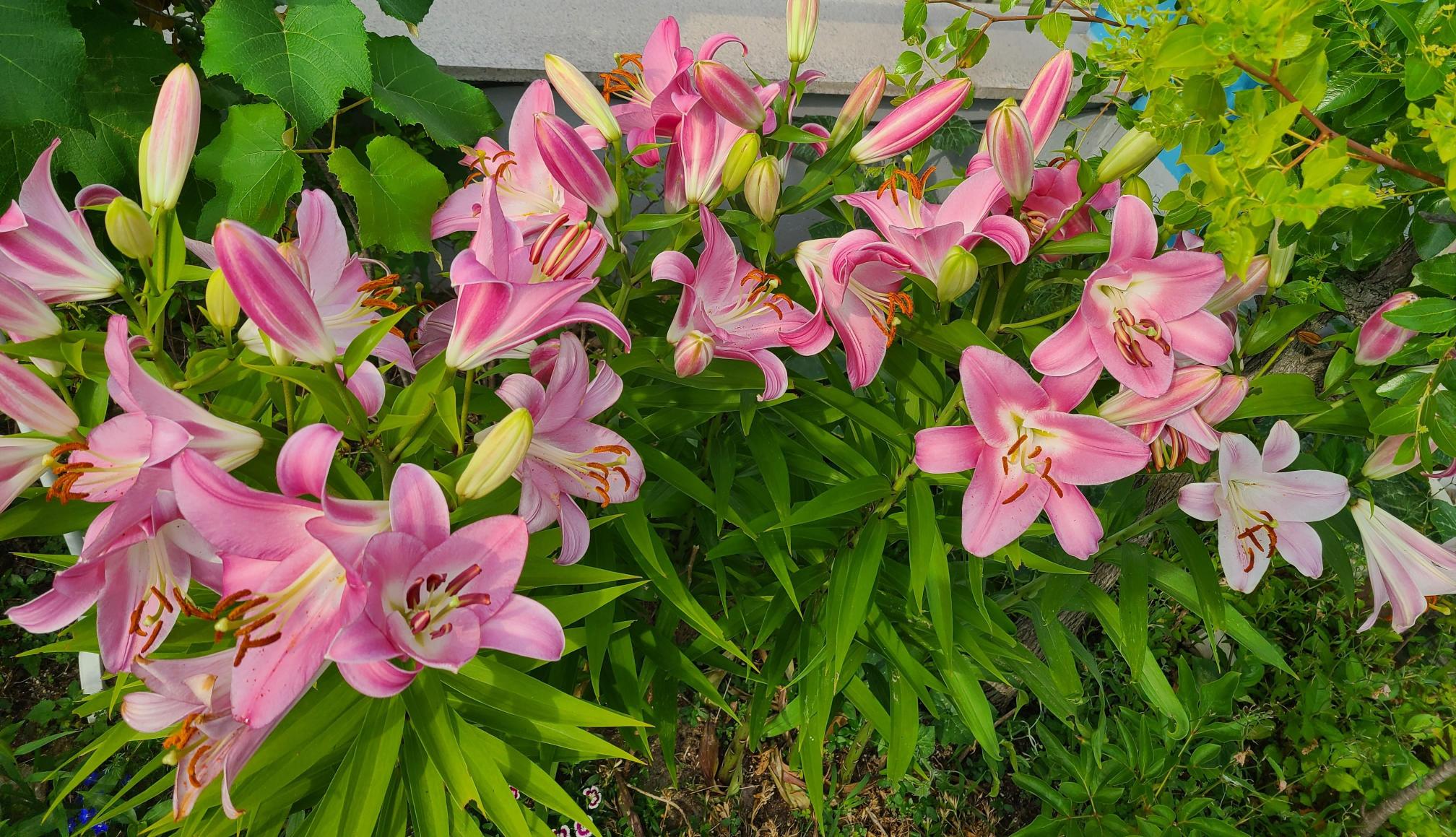 밝은빛요양원 이미지 9