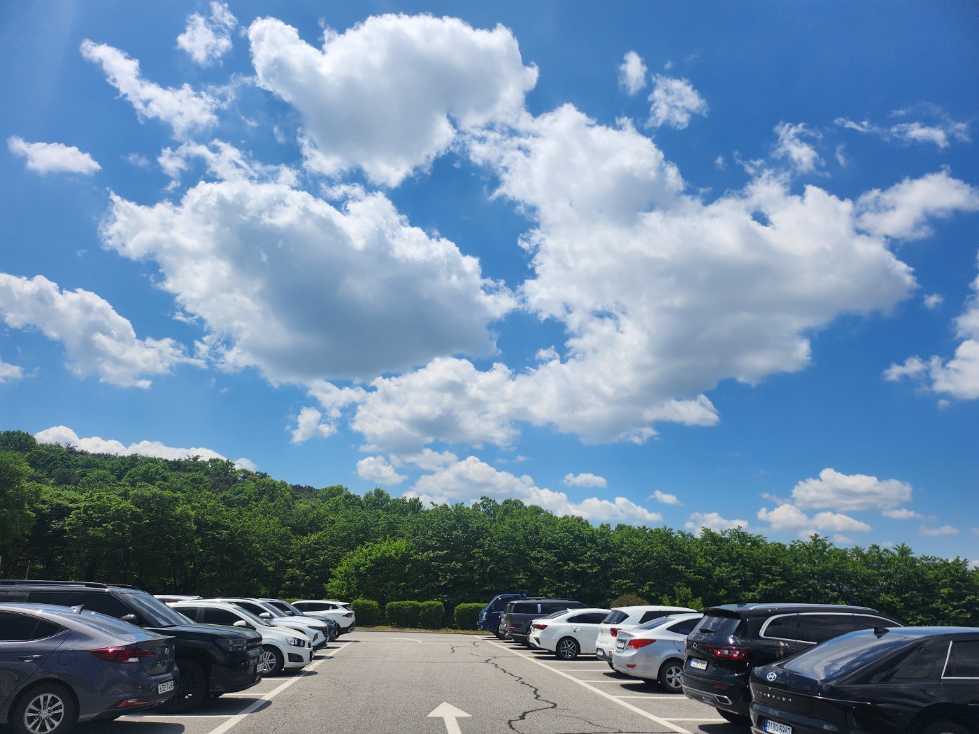 사회복지법인 효담전문요양원 이미지 19