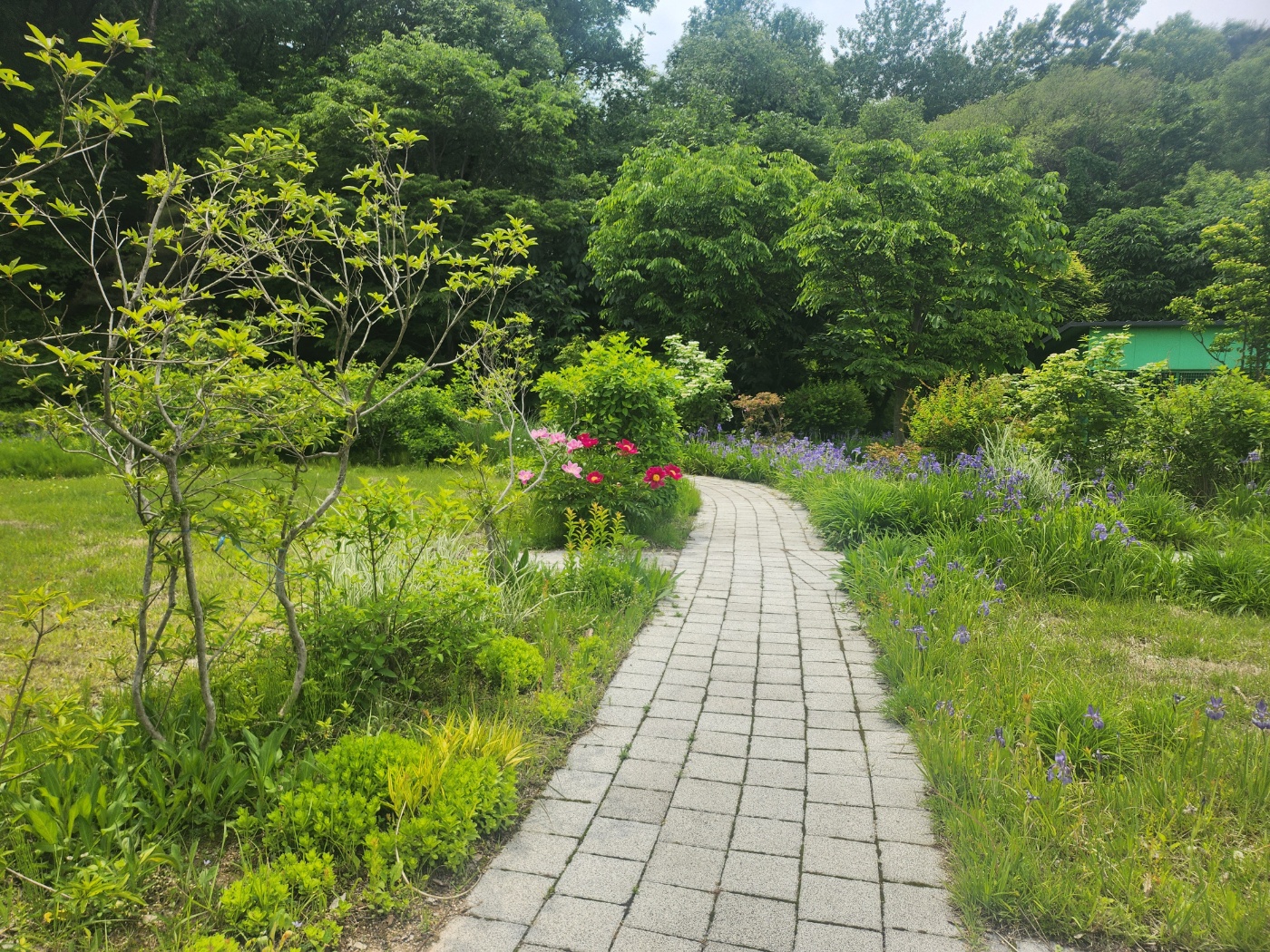 사회복지법인 효담전문요양원 이미지 17