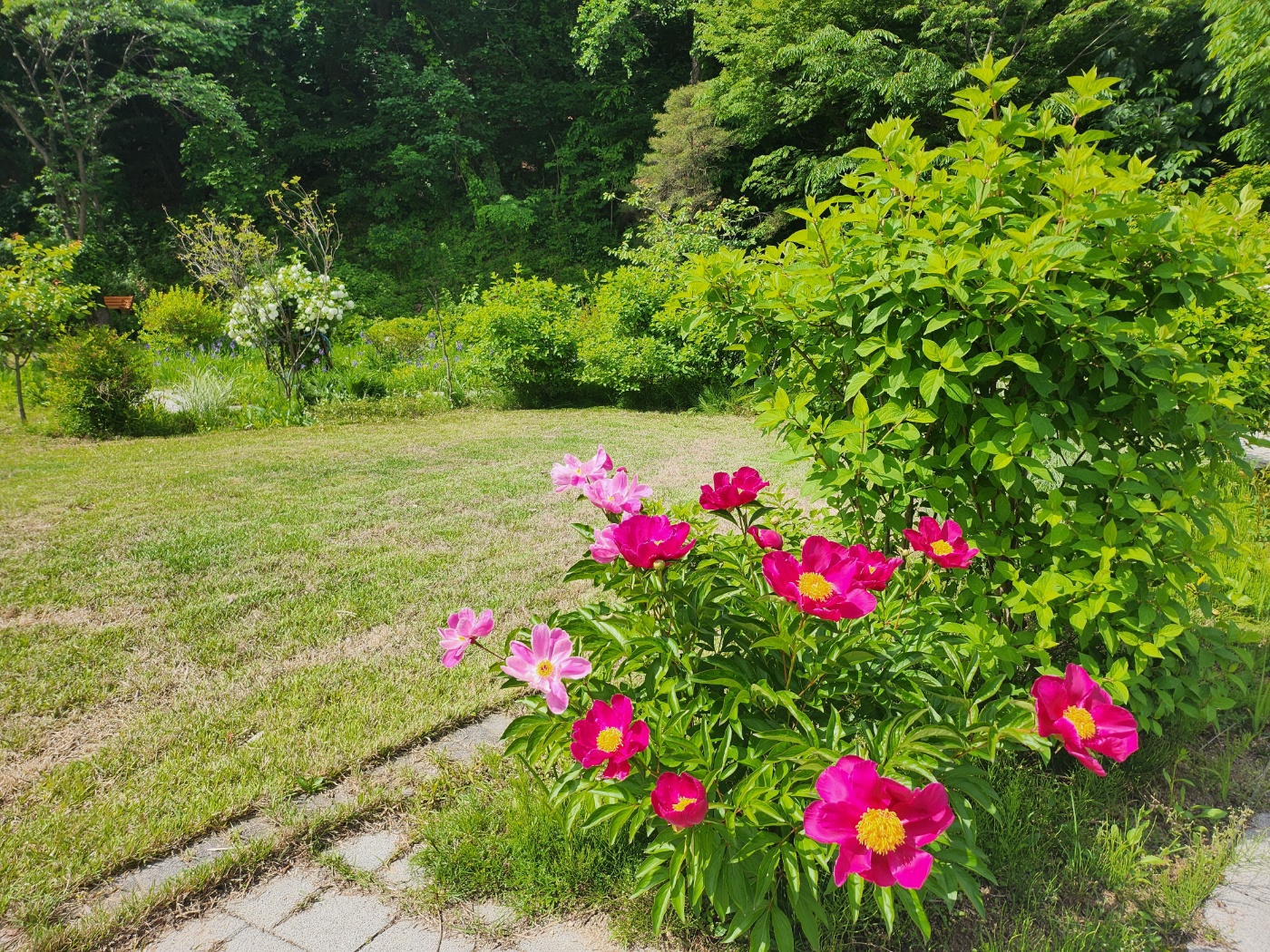 사회복지법인 효담전문요양원 이미지 16