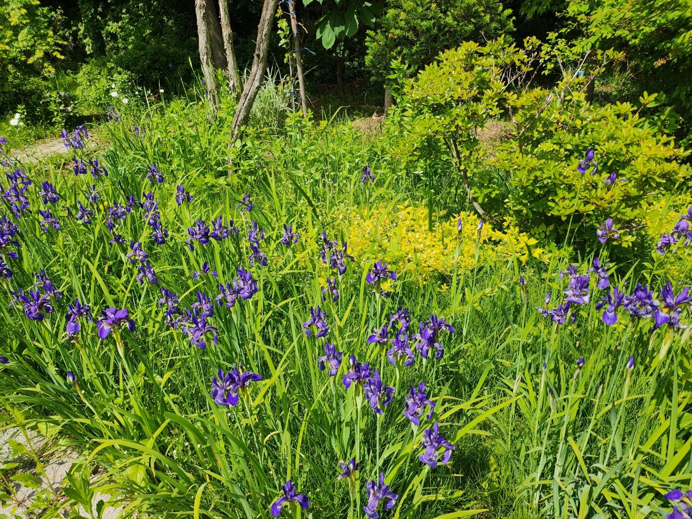 사회복지법인 효담전문요양원 이미지 14