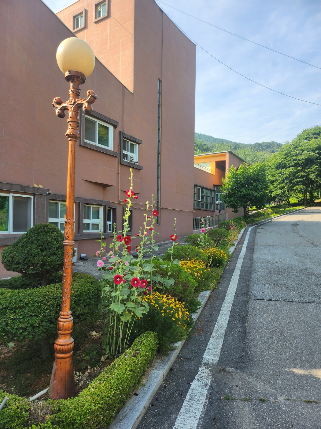 사회복지법인 효담전문요양원 이미지 11