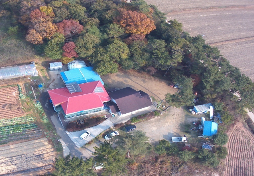 사랑의둥지요양원