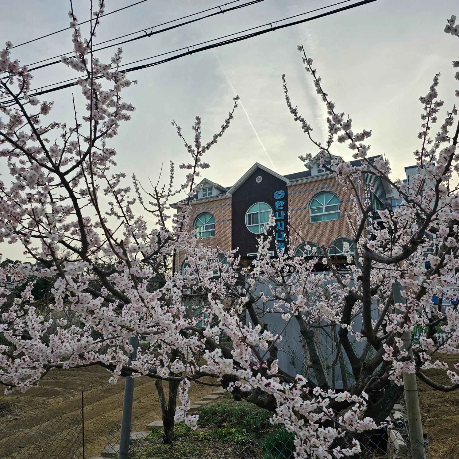 한나시니어 요양원