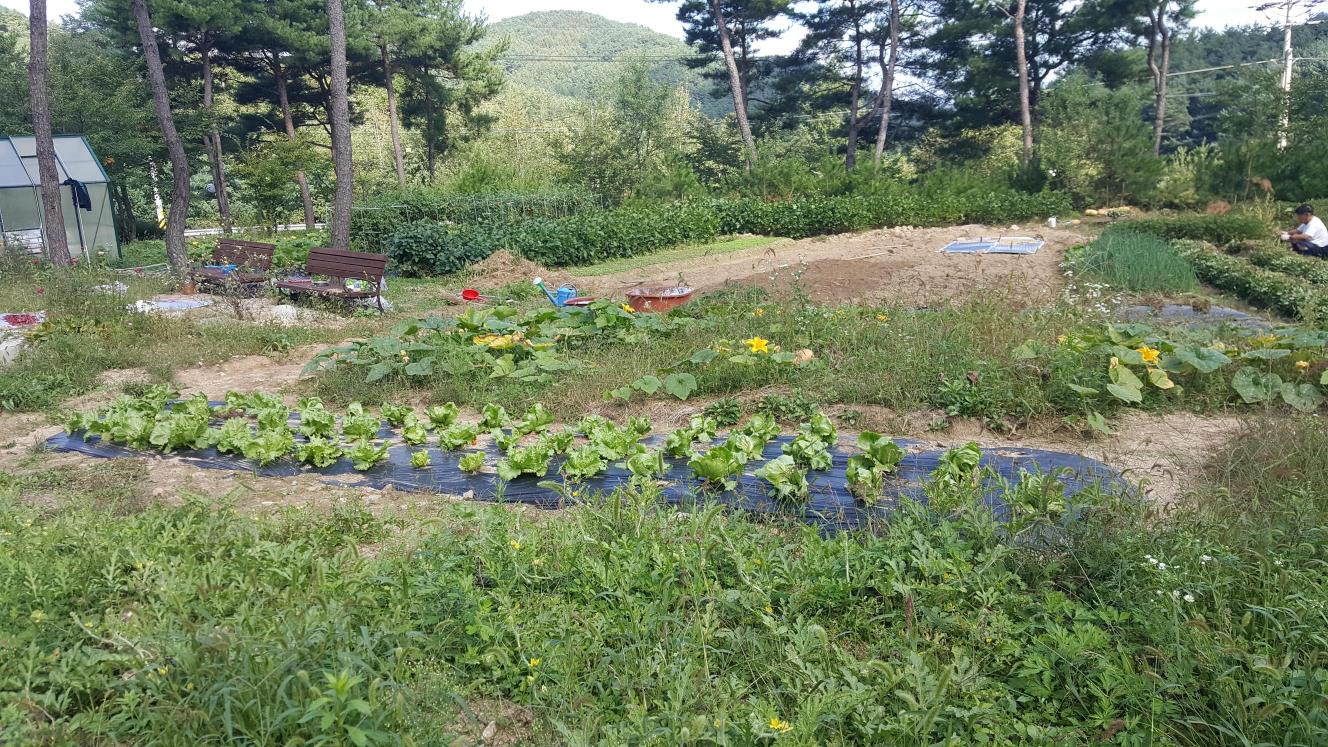 스마일카운티 이미지 3