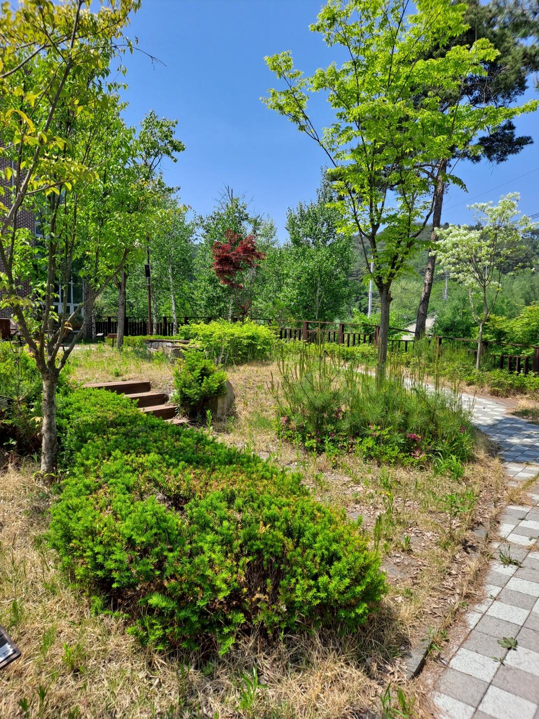 스마일카운티 이미지 7