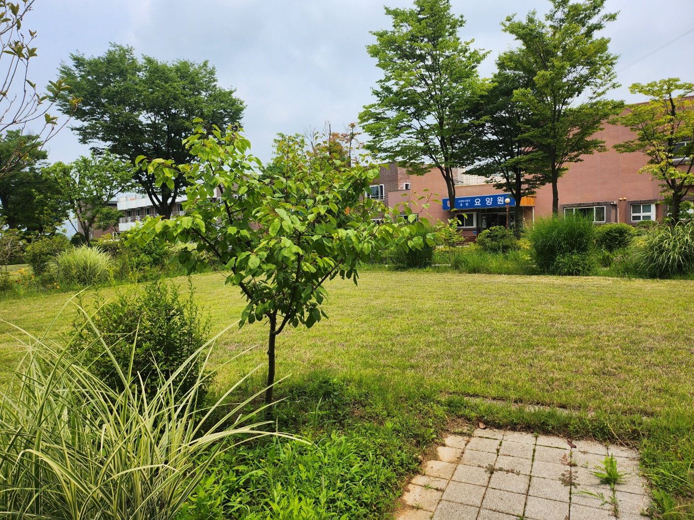 사회복지법인 효담전문요양원 이미지 8