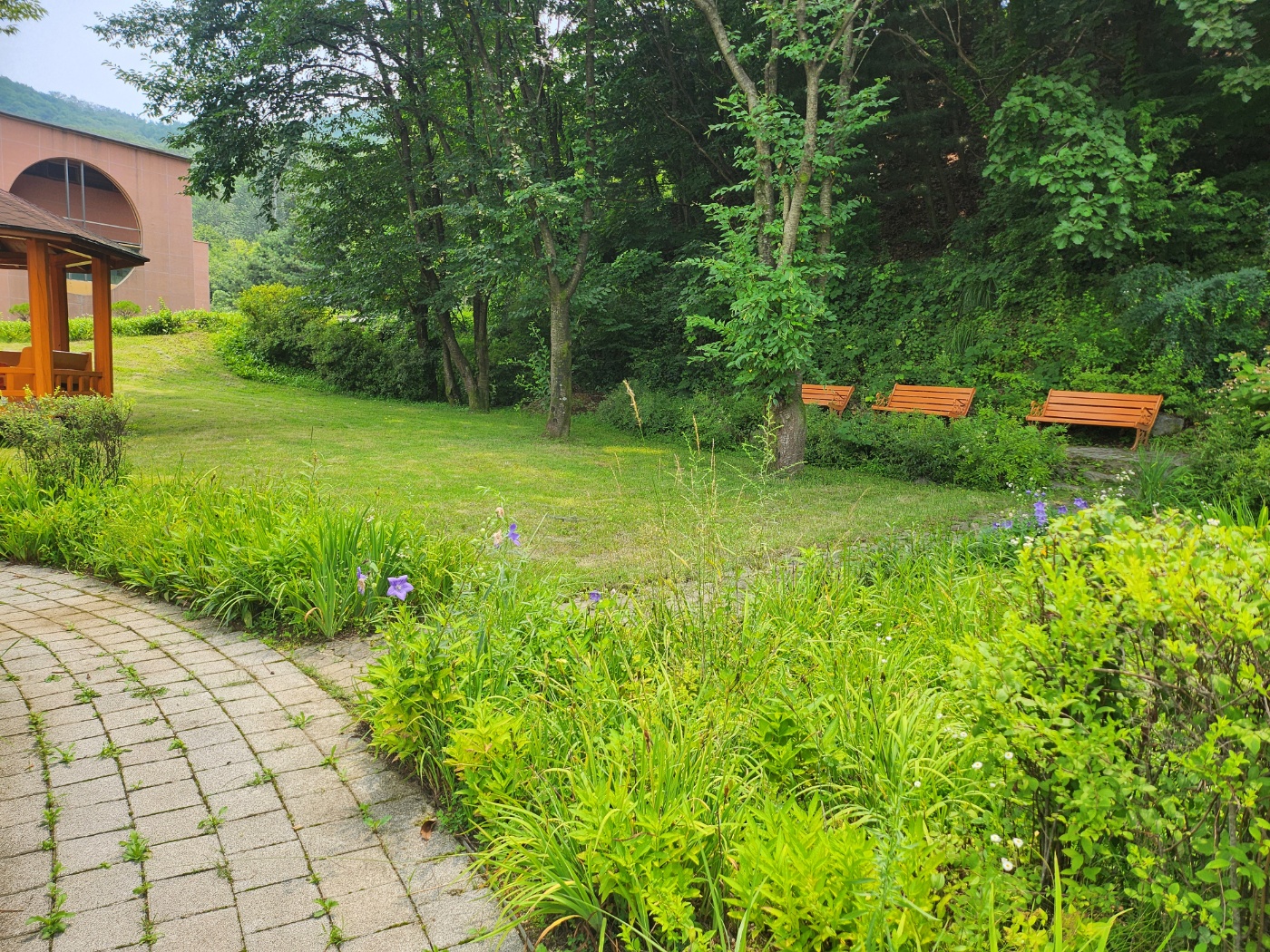 사회복지법인 효담전문요양원 이미지 7