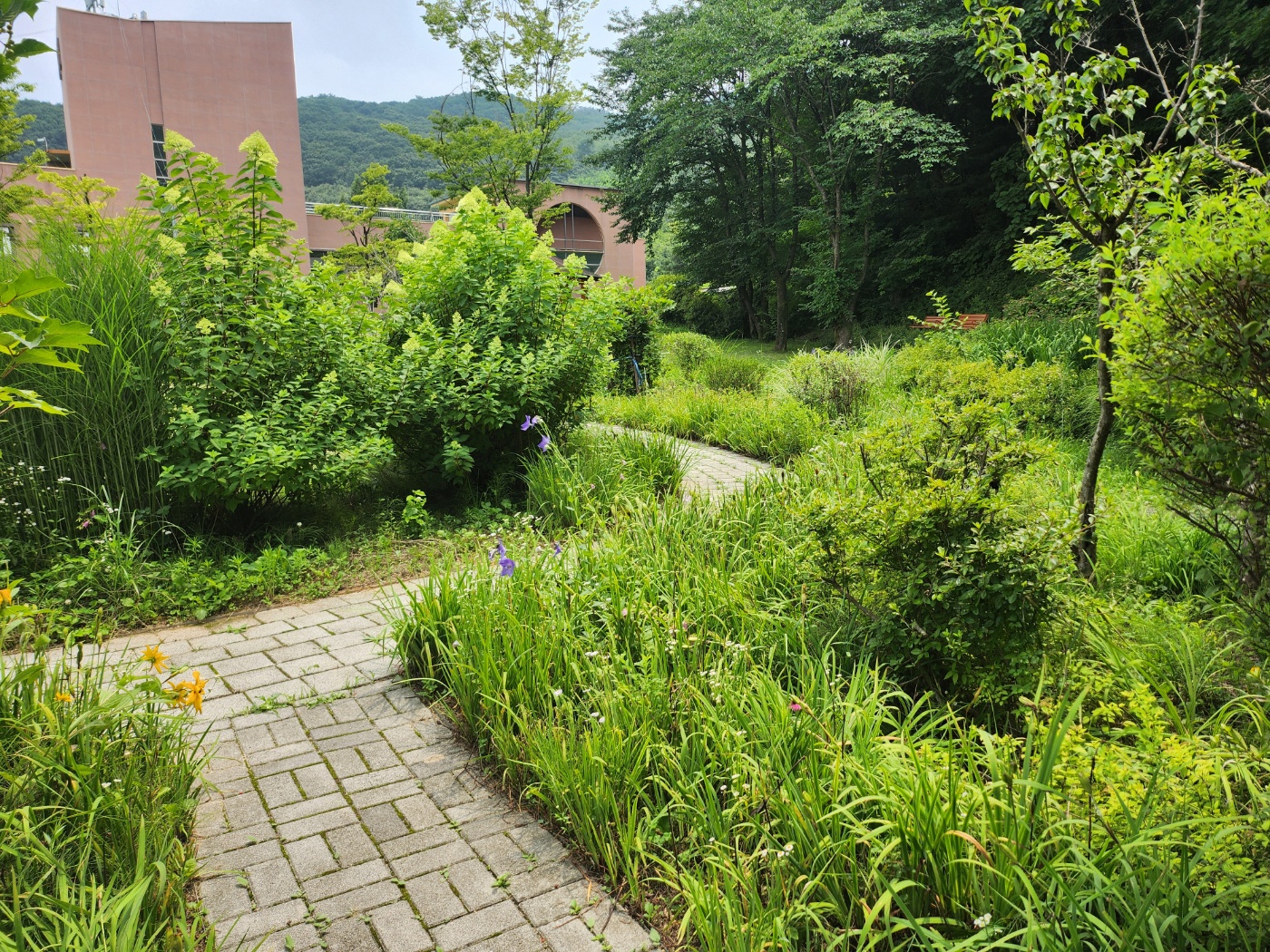 사회복지법인 효담전문요양원 이미지 6