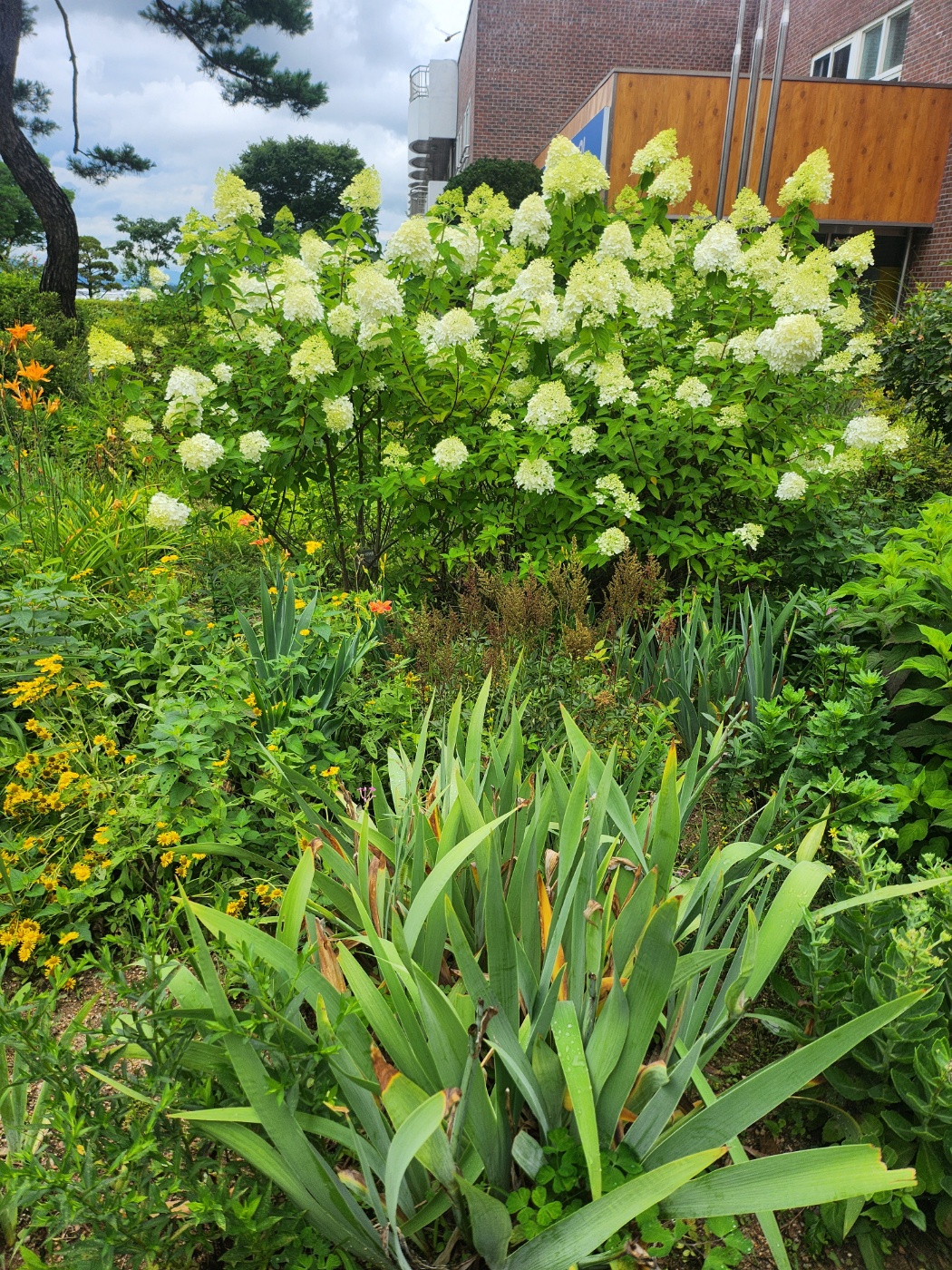 사회복지법인 효담전문요양원 이미지 4