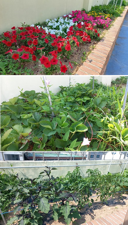 연수인하요양원 이미지 3