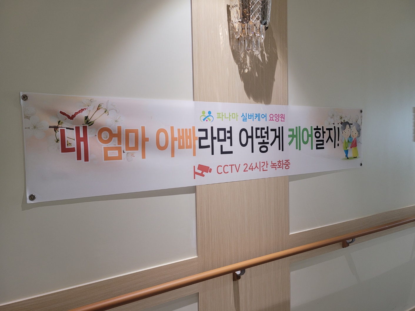 파나마실버케어 이미지 11