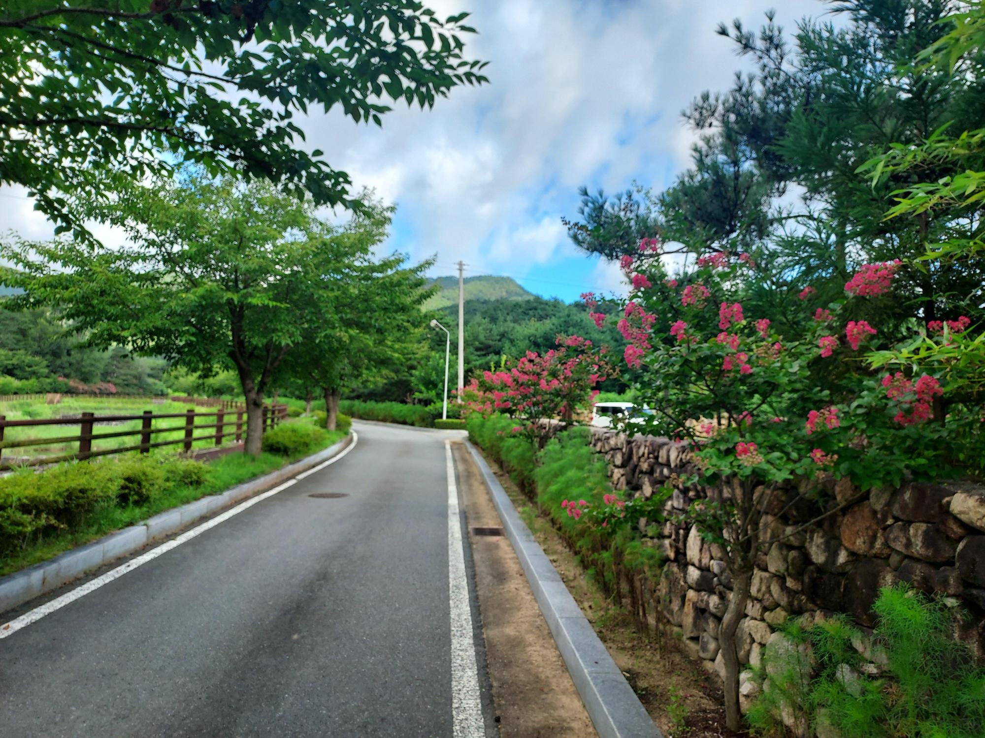 학림원 이미지 4