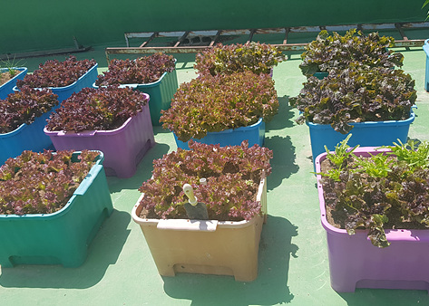 수요양원 이미지 10