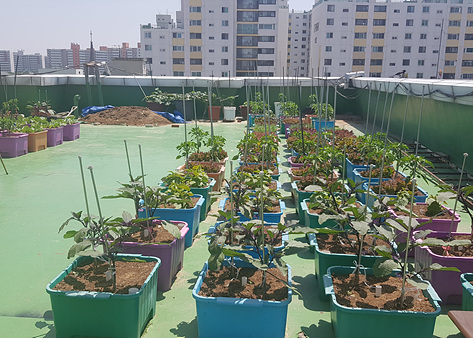 수요양원 이미지 11