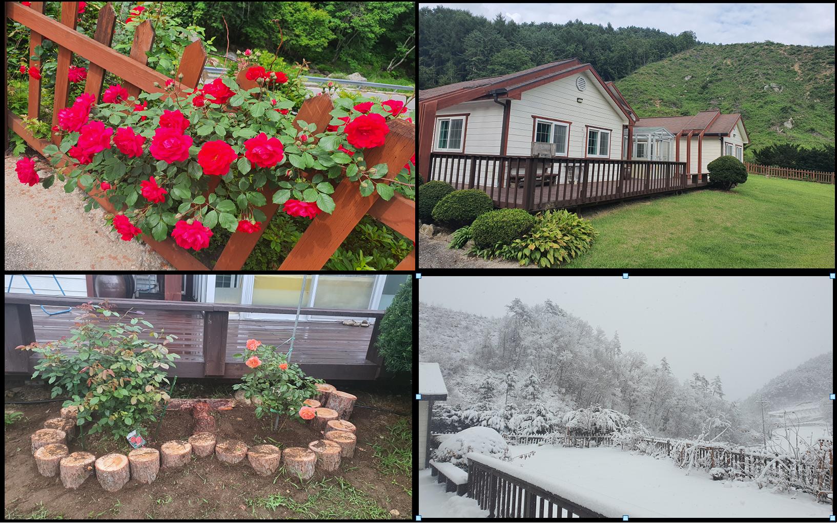 정선효도마을 이미지 3