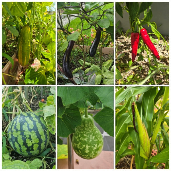 무량수노인요양원 이미지 13