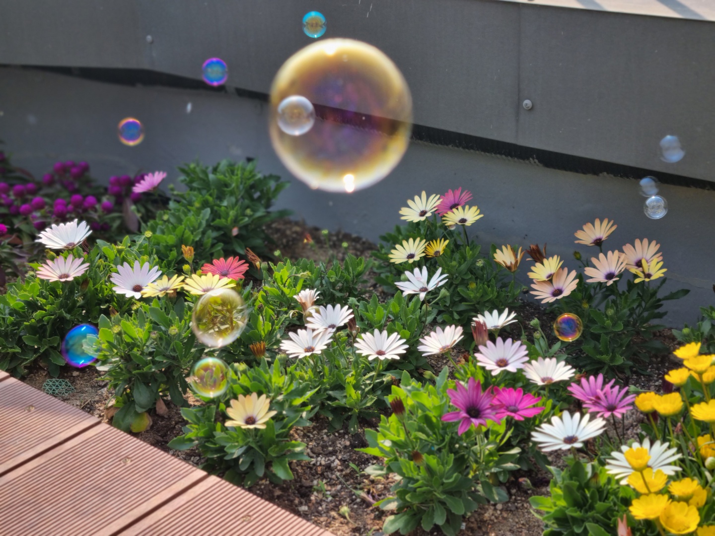 성녀모니카의집요양원 이미지 2