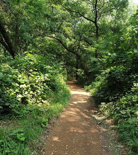 서천노인요양원 이미지 4