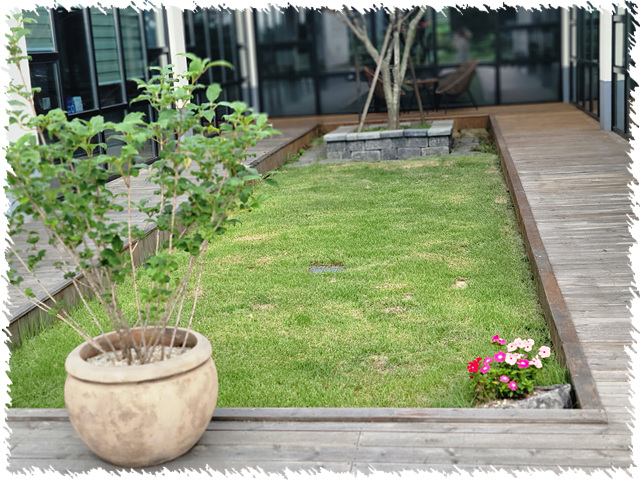 허그빌리지요양원 이미지 4