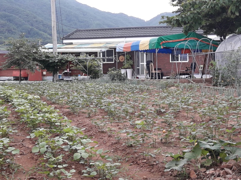 실로암의집 이미지 3