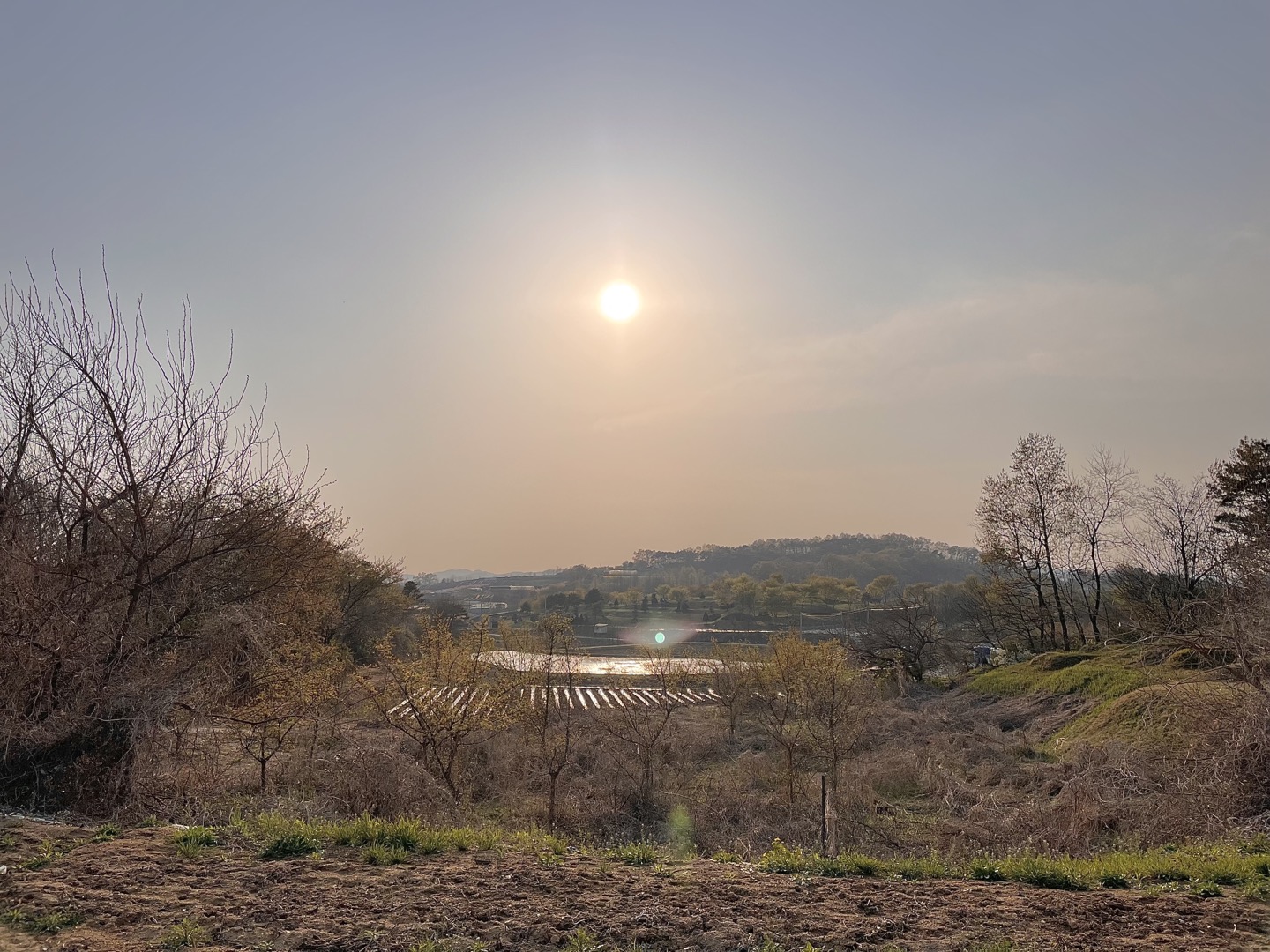 효심원 이미지 3